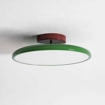 Elmsfield Adjustable Flush Mount Ceiling Light