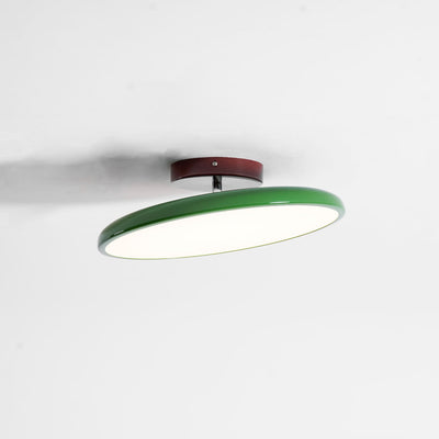 Elmsfield Adjustable Flush Mount Ceiling Light