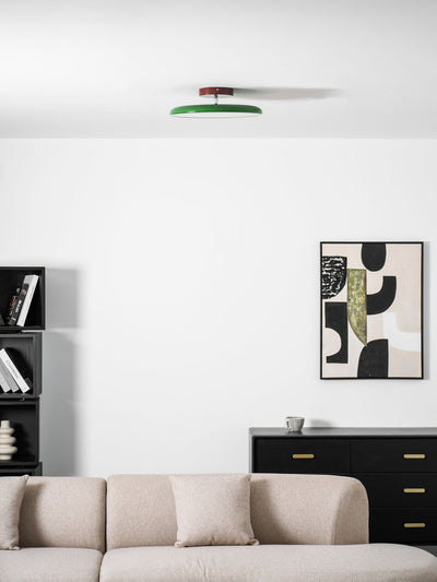 Elmsfield Adjustable Flush Mount Ceiling Light
