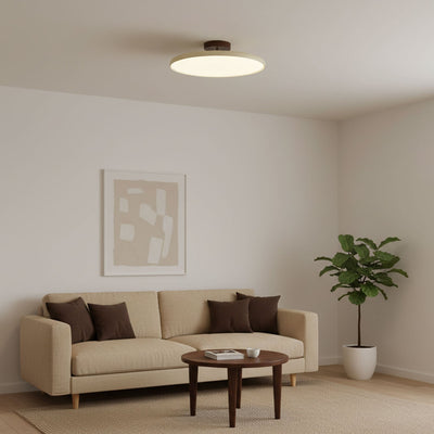 Elmsfield Adjustable Flush Mount Ceiling Light