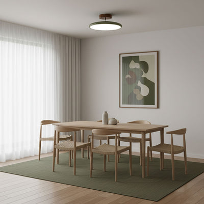 Elmsfield Adjustable Flush Mount Ceiling Light