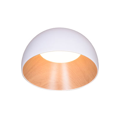 Coda Ceiling Lamp Dome Wood Minimalist