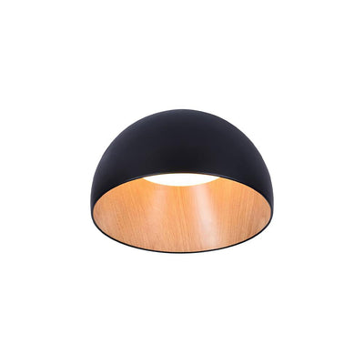 Halo Ceiling Lamp