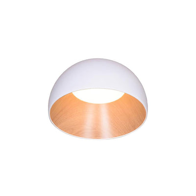 Halo Ceiling Lamp