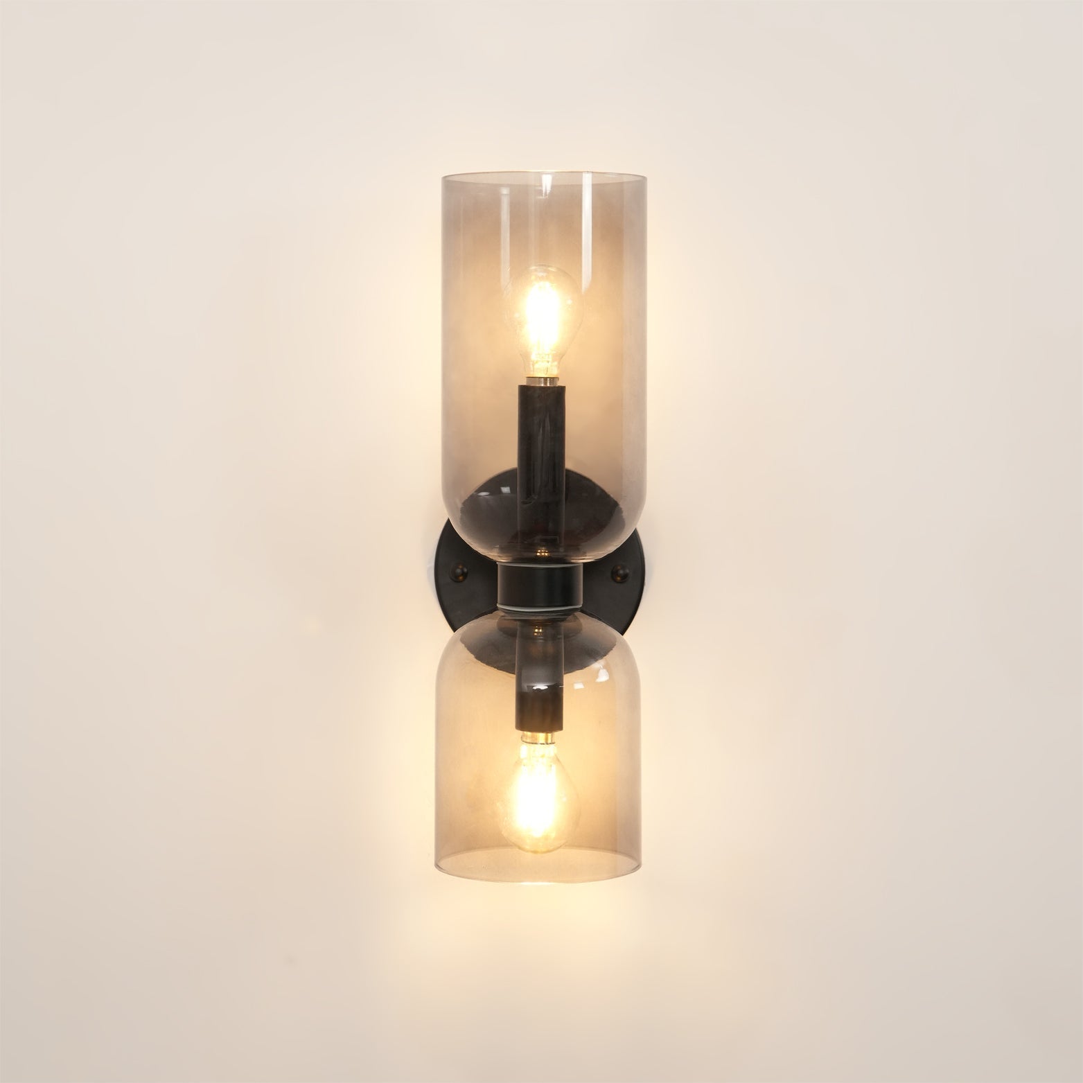 Bryn Modern Minimalist Glass Wall Lamp
