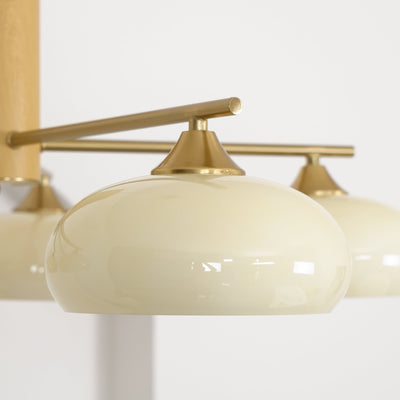 Clairview Elliptical Persimmon Chandelier
