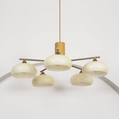 Oakbrook Elliptical Persimmon Chandelier