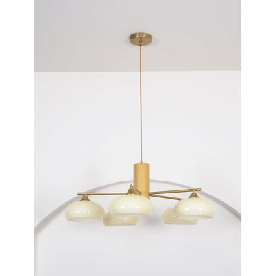 Oakbrook Elliptical Persimmon Chandelier