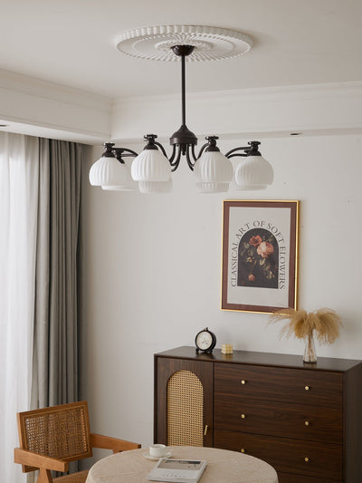 Calaeor Premium Elegance Glass Chandelier