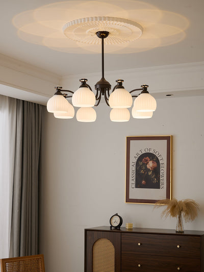Calaeor Premium Elegance Glass Chandelier