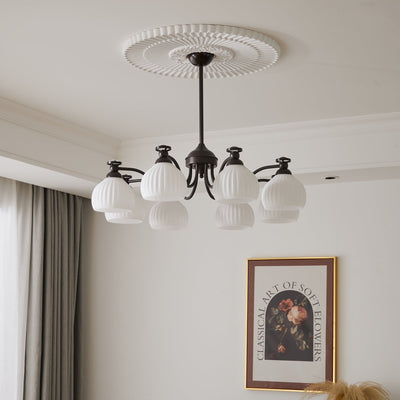 Calaeor Premium Elegance Glass Chandelier