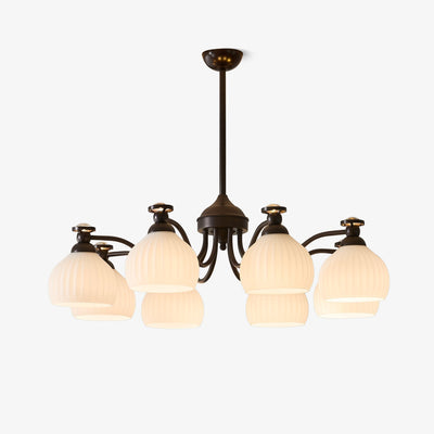 Calaeor Premium Elegance Glass Chandelier