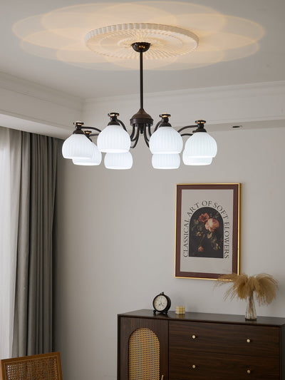 Calaeor Premium Elegance Glass Chandelier