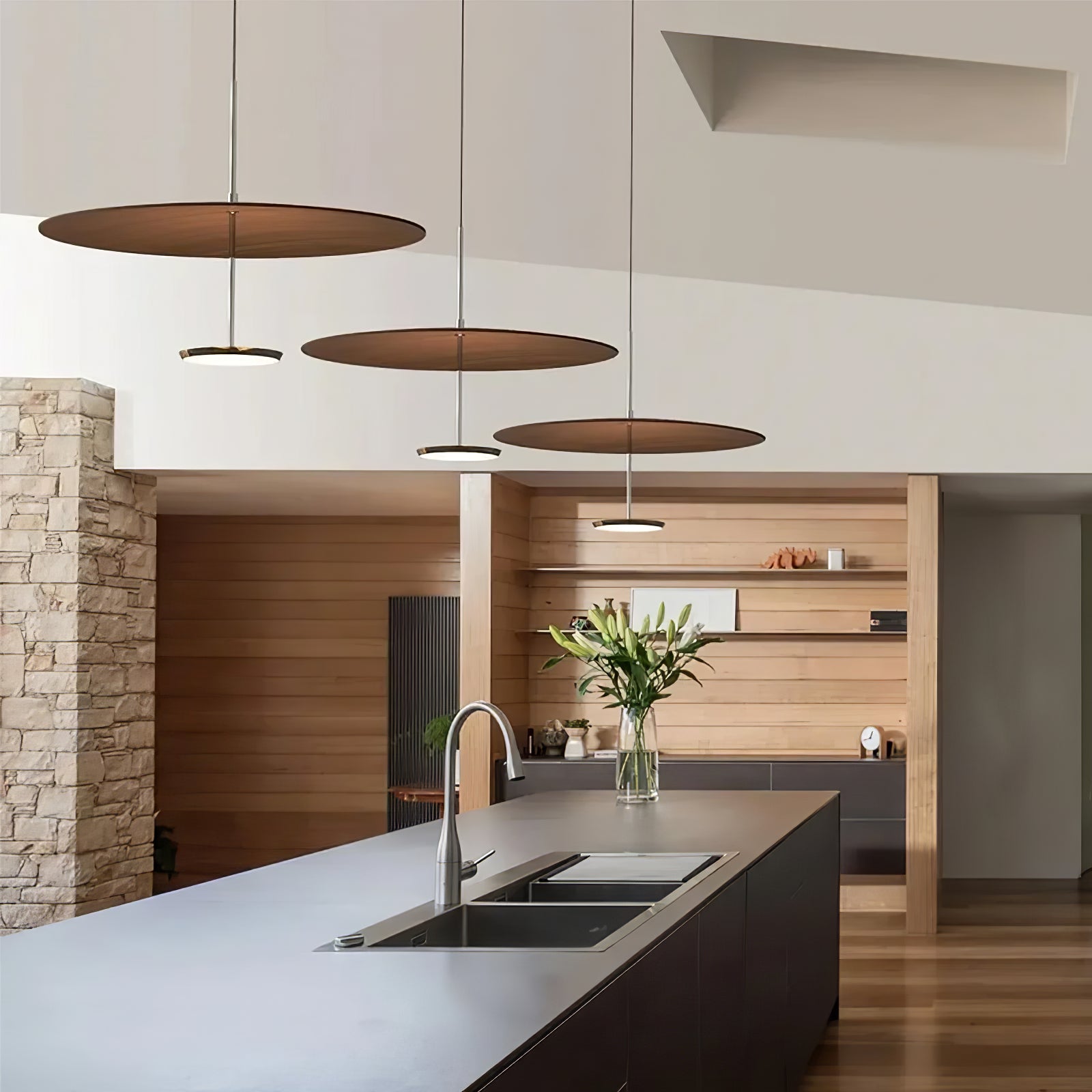 Myphaos Modern Minimalist Disc Pendant Lamp