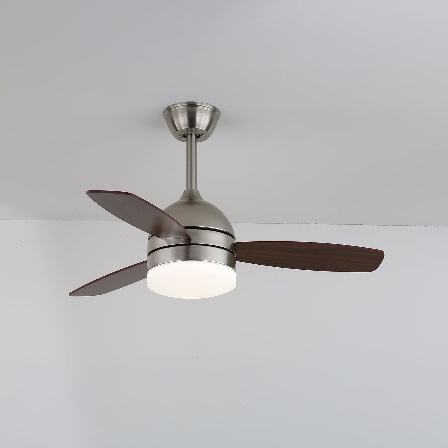 Caelan Modern Ceiling Fan Light