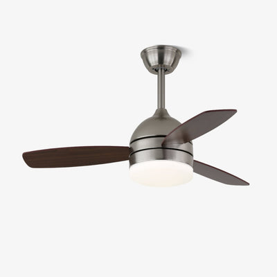 Caelan Modern Ceiling Fan Light
