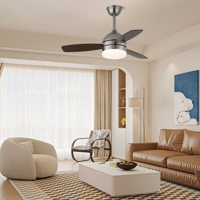 Caelan Modern Ceiling Fan Light