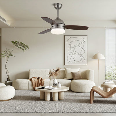 Caelan Modern Ceiling Fan Light