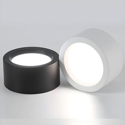 Usorel Modern Minimalist Surface Ceiling Light