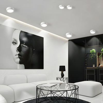 Usorel Modern Minimalist Surface Ceiling Light