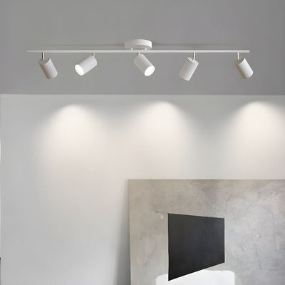 Quadra Aluminum Contemporary Ceiling Light