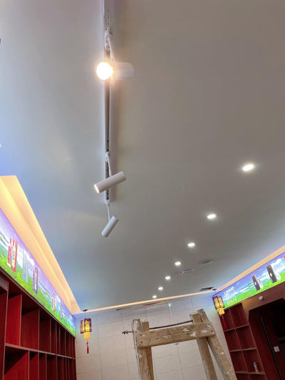 Sond Modern Minimalist Ceiling Light