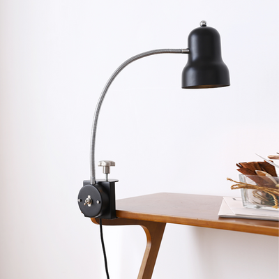 Rocco Clamp Task Lamp