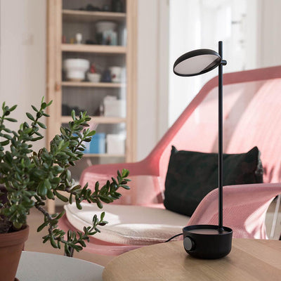 Xylore Contemporary Table Lamp