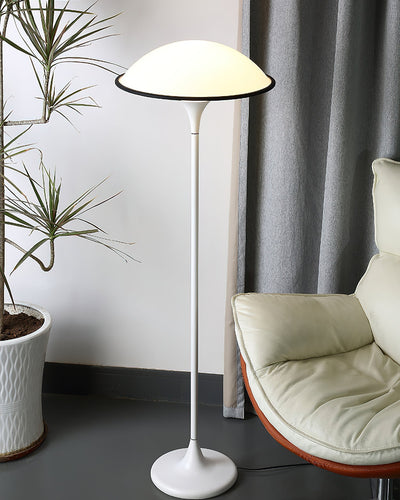 Lucoria Retro Acrylic Floor Lamp