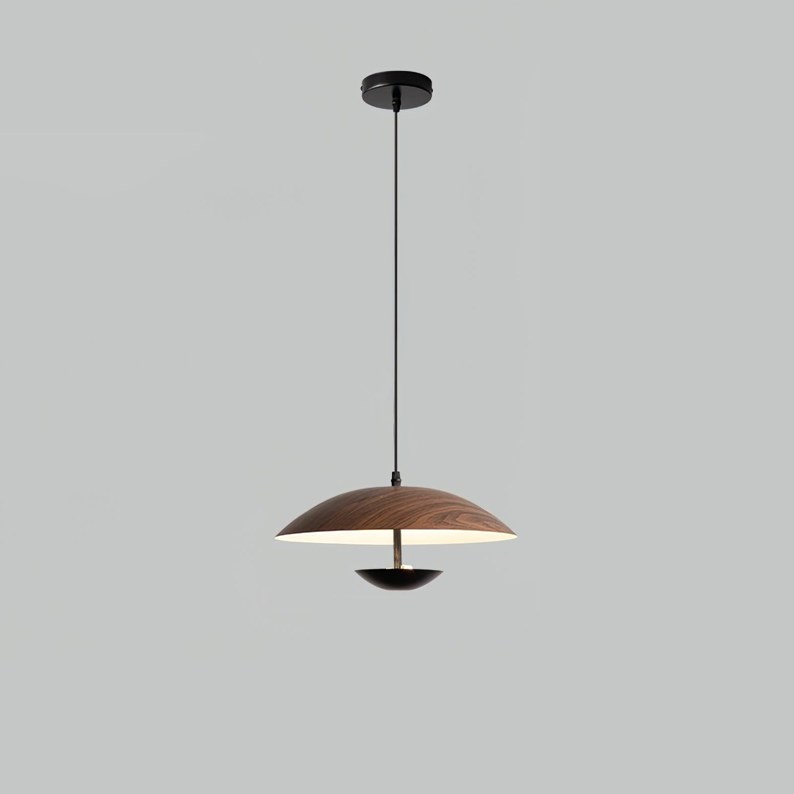 Virainette Modern Frisbee Pendant Lamp