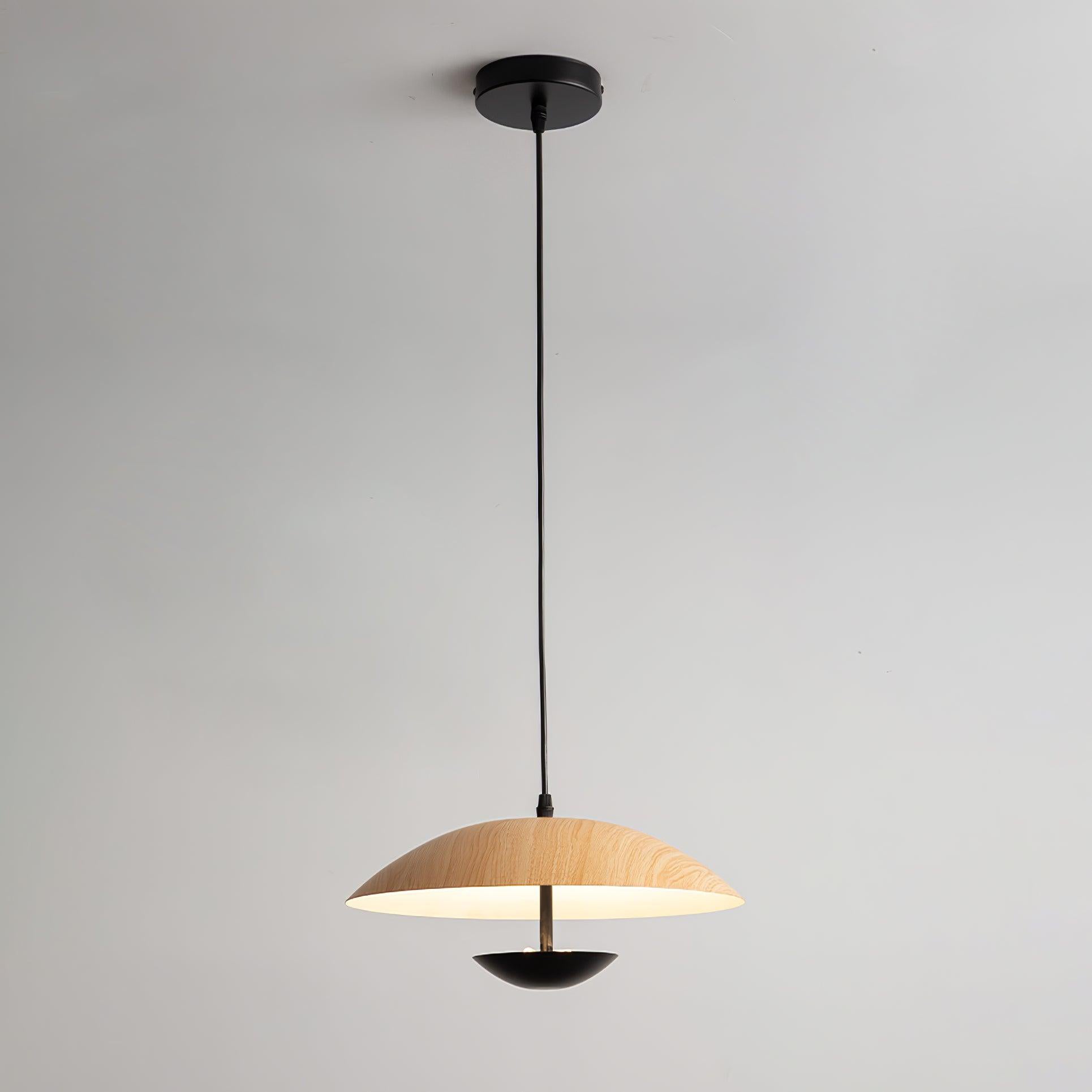 Virainette Modern Frisbee Pendant Lamp
