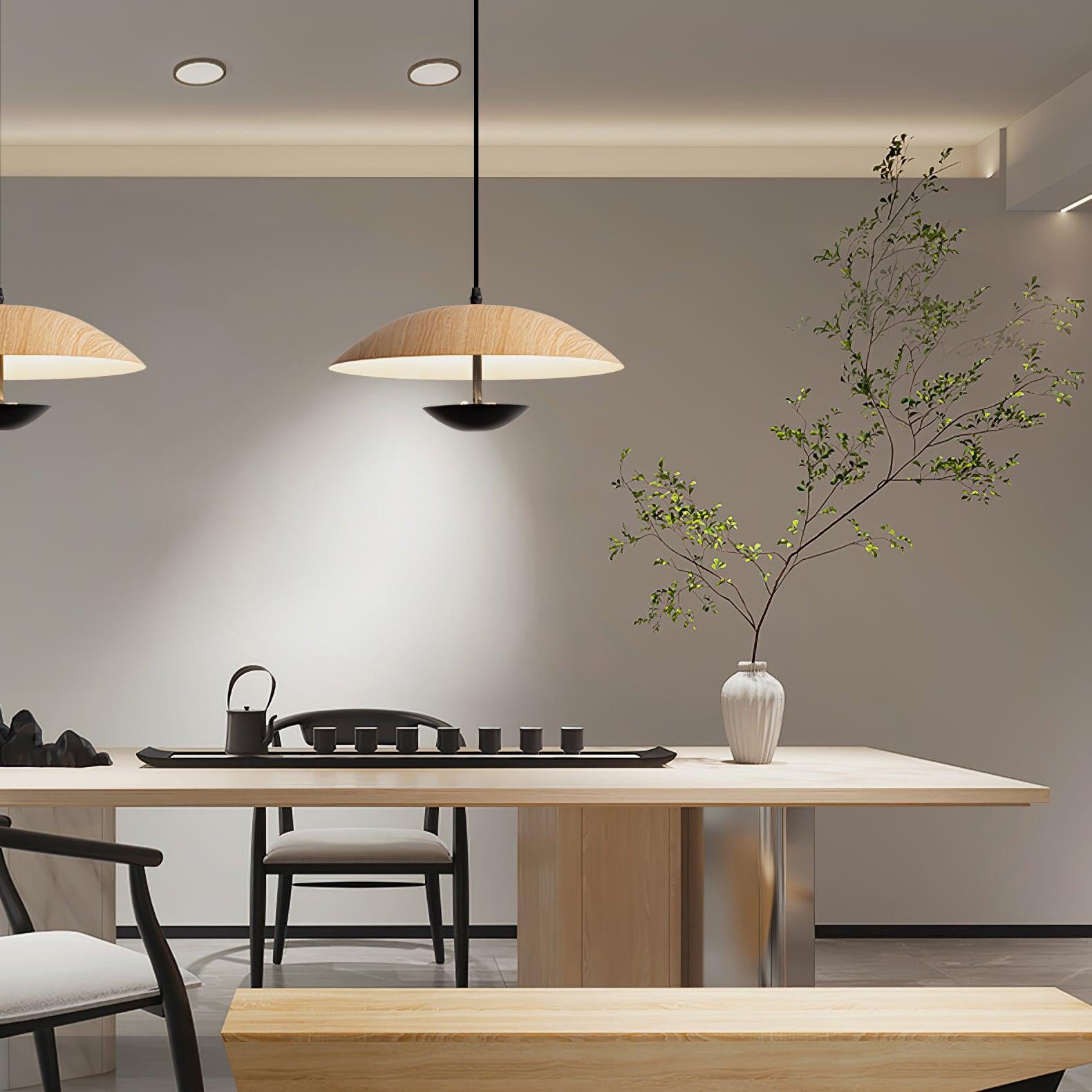 Virainette Modern Frisbee Pendant Lamp