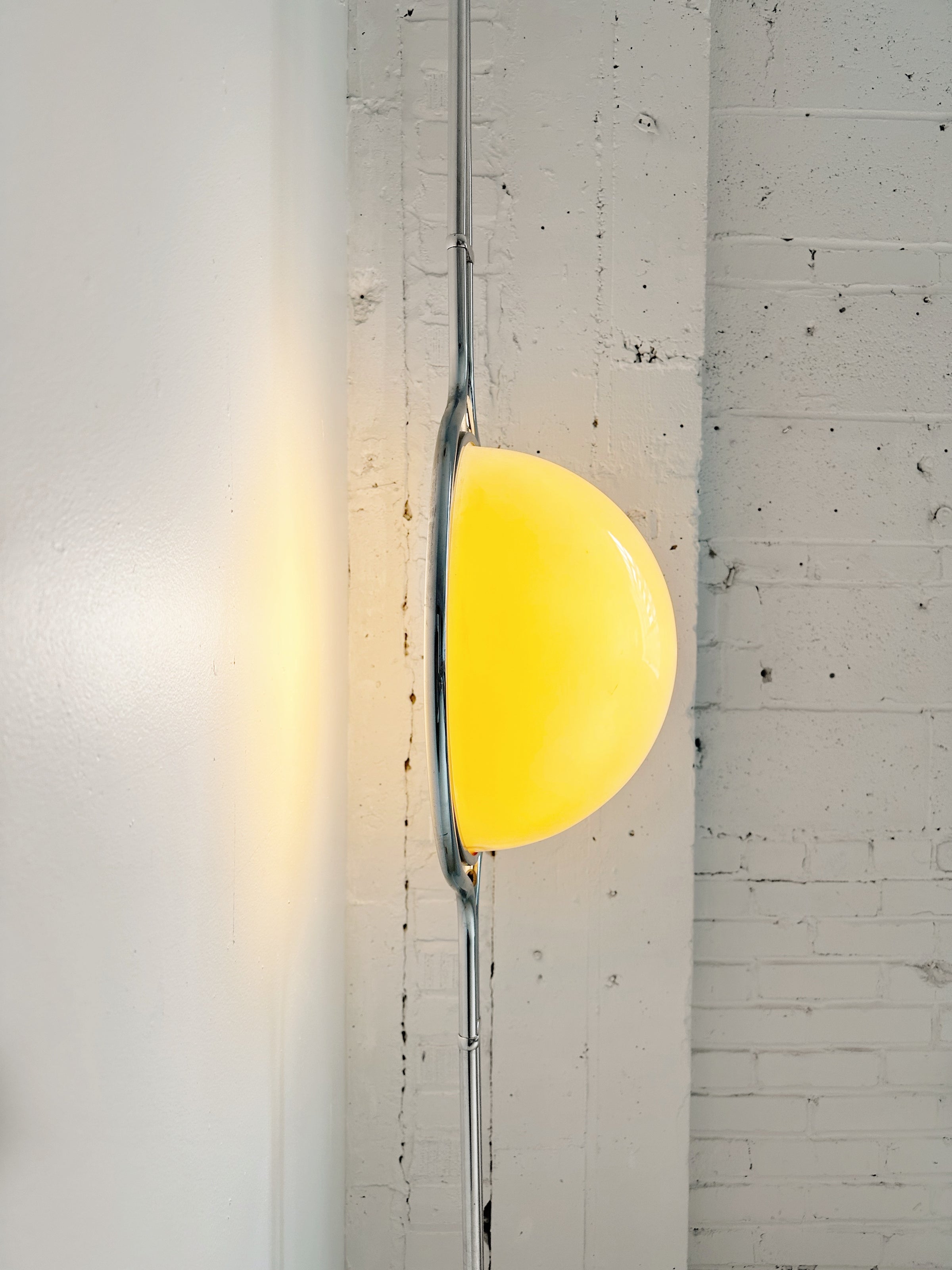 Avenoriella Ceiling Floor Lamp