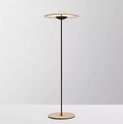 Ferinira Aluminum Minimalist Floor Lamp