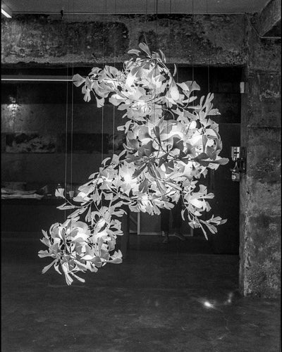 Bough Zephyr Ceramics Chandelier