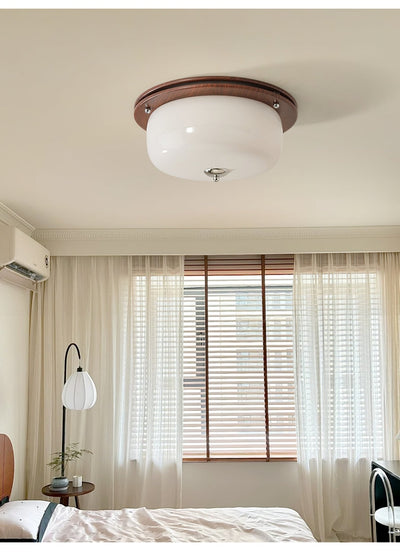 Vetheel Premium Nordic Art Dome Glass Ceiling Light