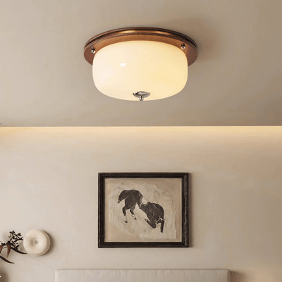 Vetheel Premium Nordic Art Dome Glass Ceiling Light