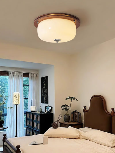 Vetheel Premium Nordic Art Dome Glass Ceiling Light