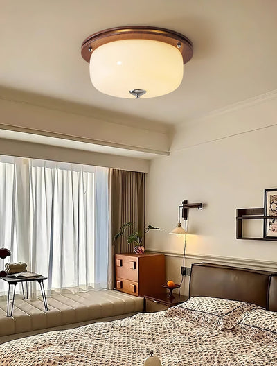 Vetheel Premium Nordic Art Dome Glass Ceiling Light