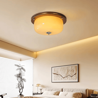 Vetheel Premium Nordic Art Dome Glass Ceiling Light