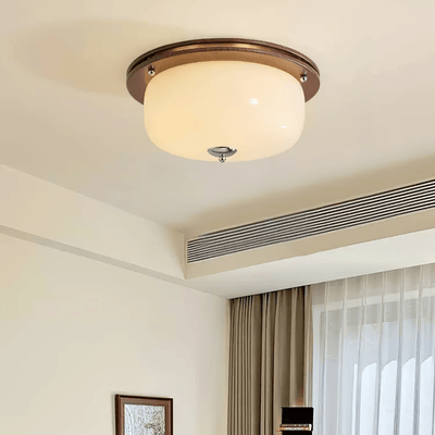 Vetheel Premium Nordic Art Dome Glass Ceiling Light