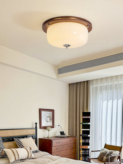 Vetheel Premium Nordic Art Dome Glass Ceiling Light