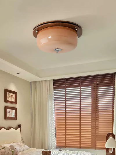 Vetheel Premium Nordic Art Dome Glass Ceiling Light