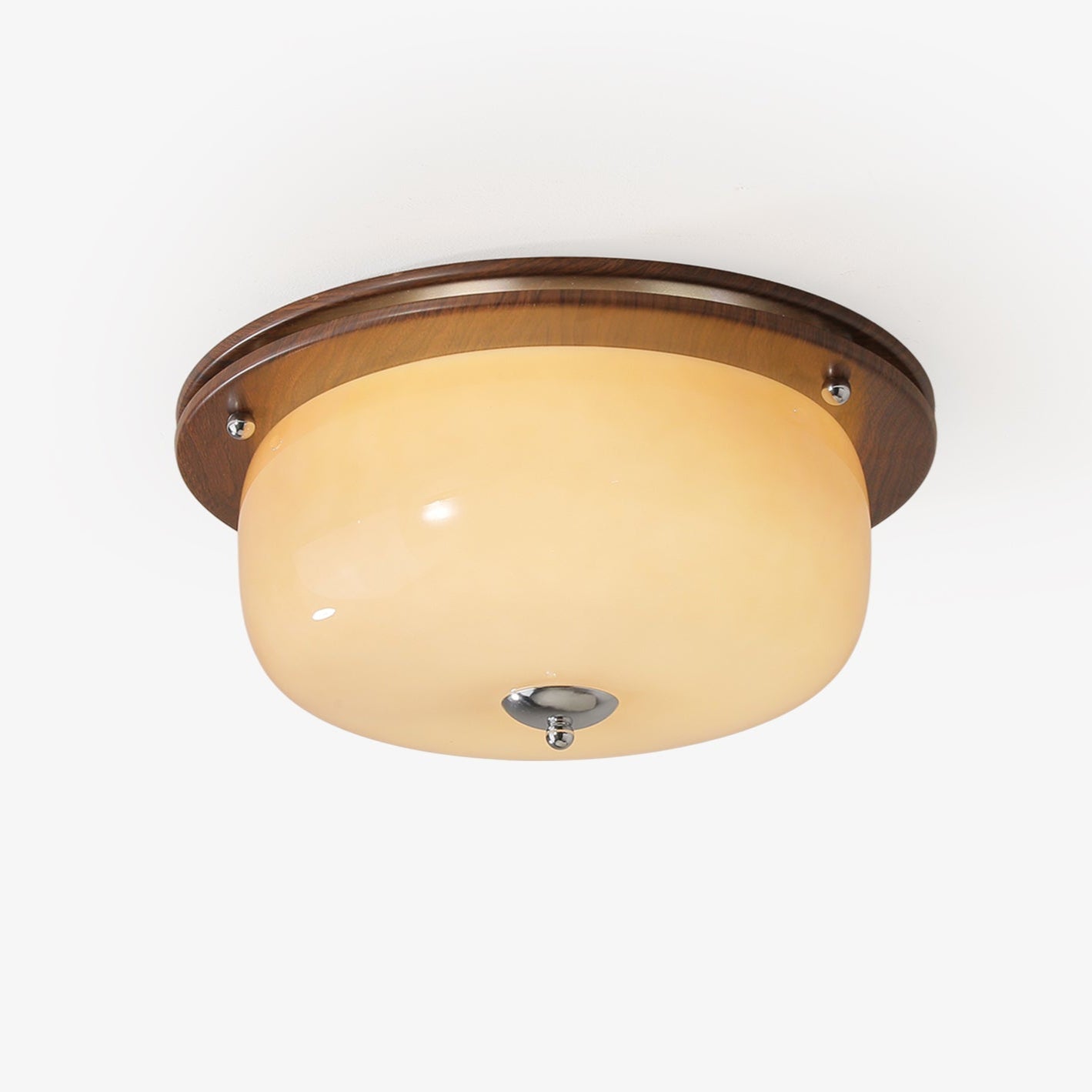 Vetheel Premium Nordic Art Dome Glass Ceiling Light