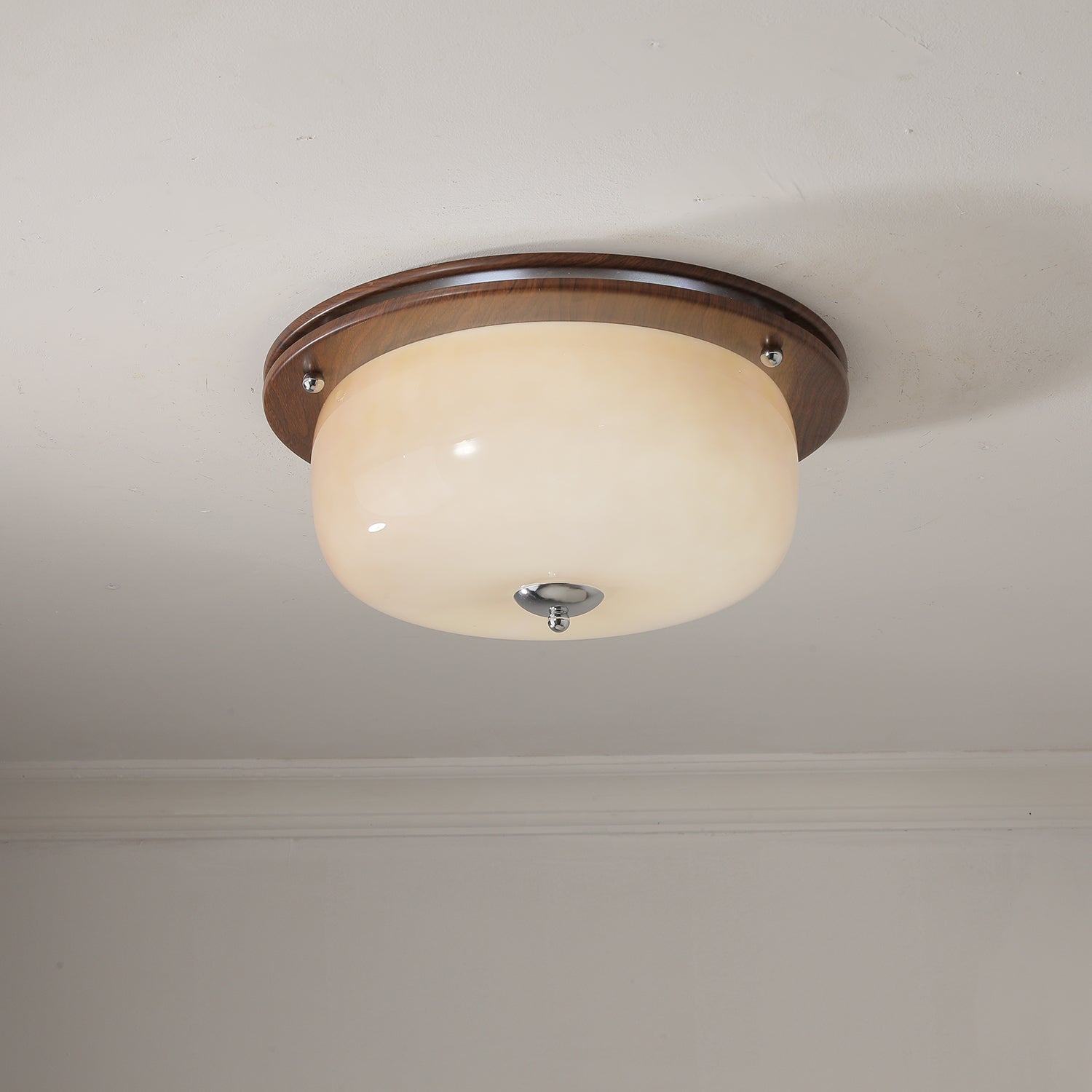 Vetheel Premium Nordic Art Dome Glass Ceiling Light