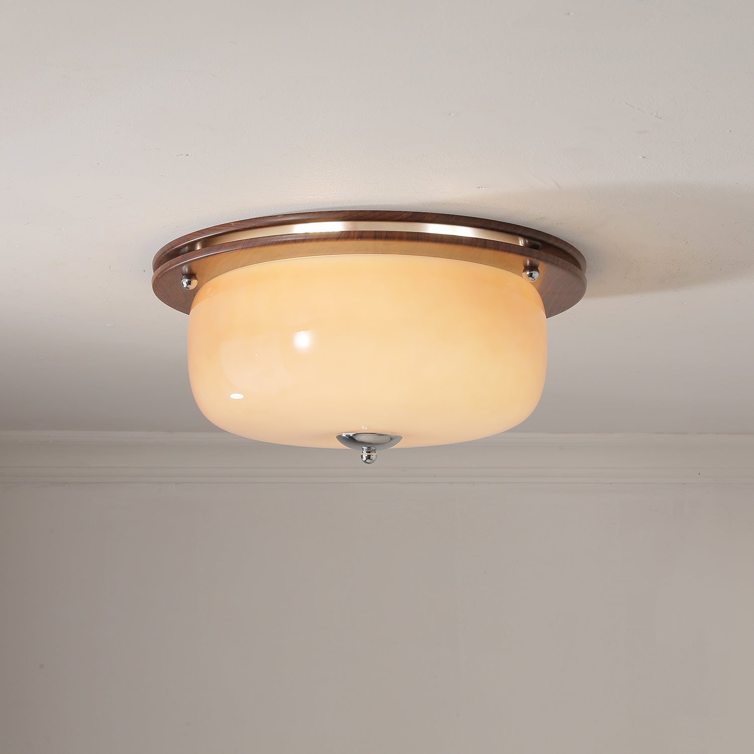 Vetheel Premium Nordic Art Dome Glass Ceiling Light