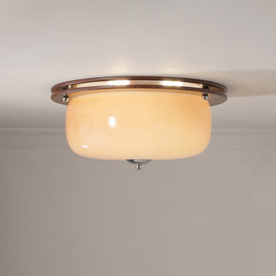 Vetheel Premium Nordic Art Dome Glass Ceiling Light