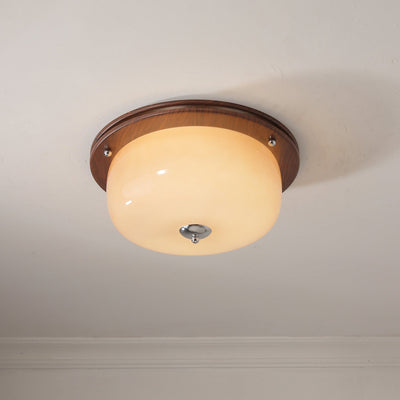 Vetheel Premium Nordic Art Dome Glass Ceiling Light