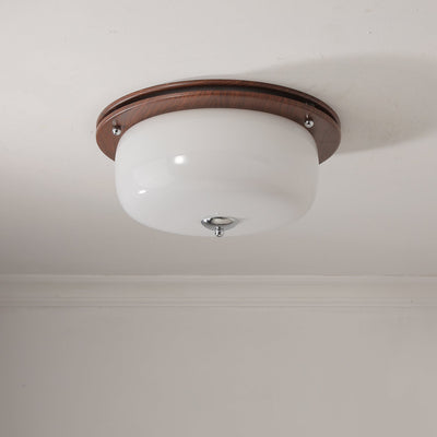 Vetheel Premium Nordic Art Dome Glass Ceiling Light