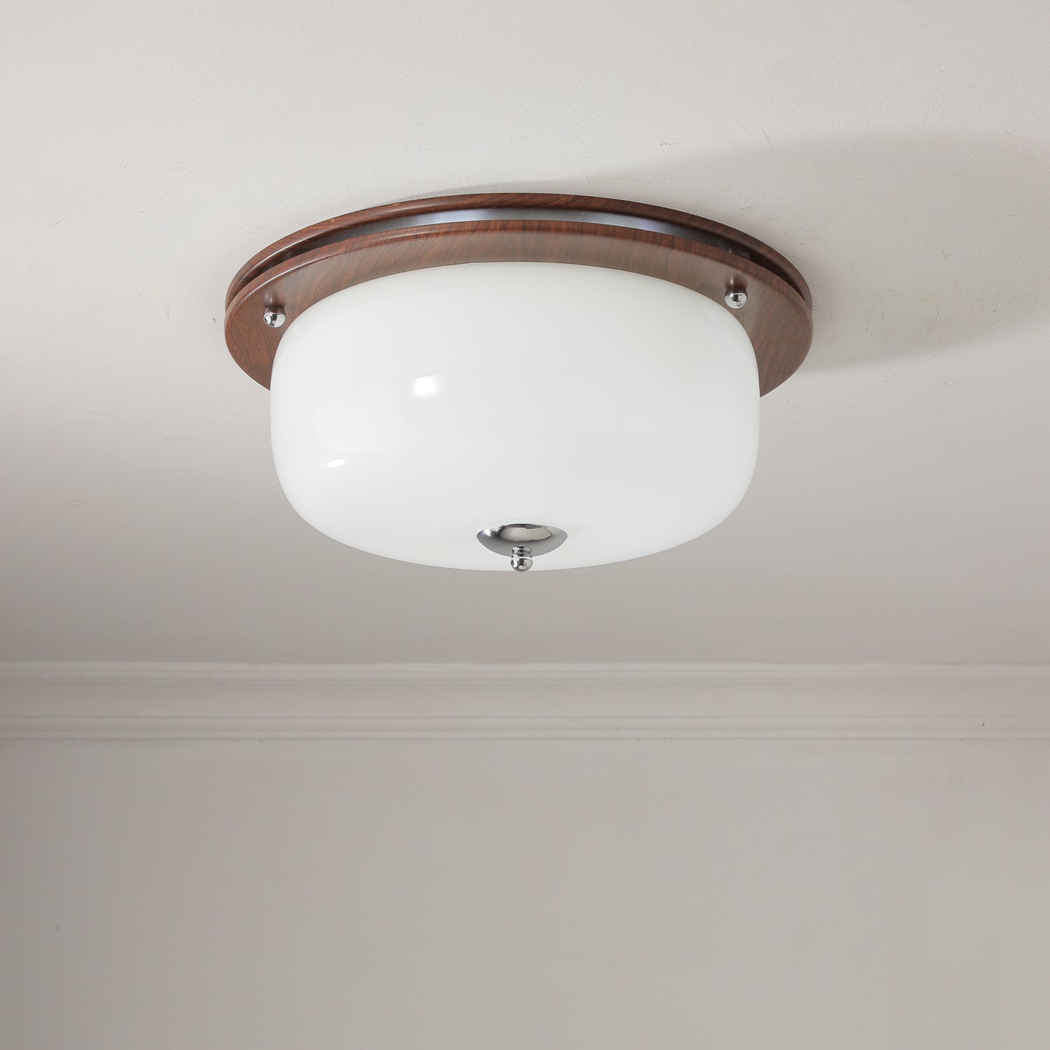 Vetheel Premium Nordic Art Dome Glass Ceiling Light